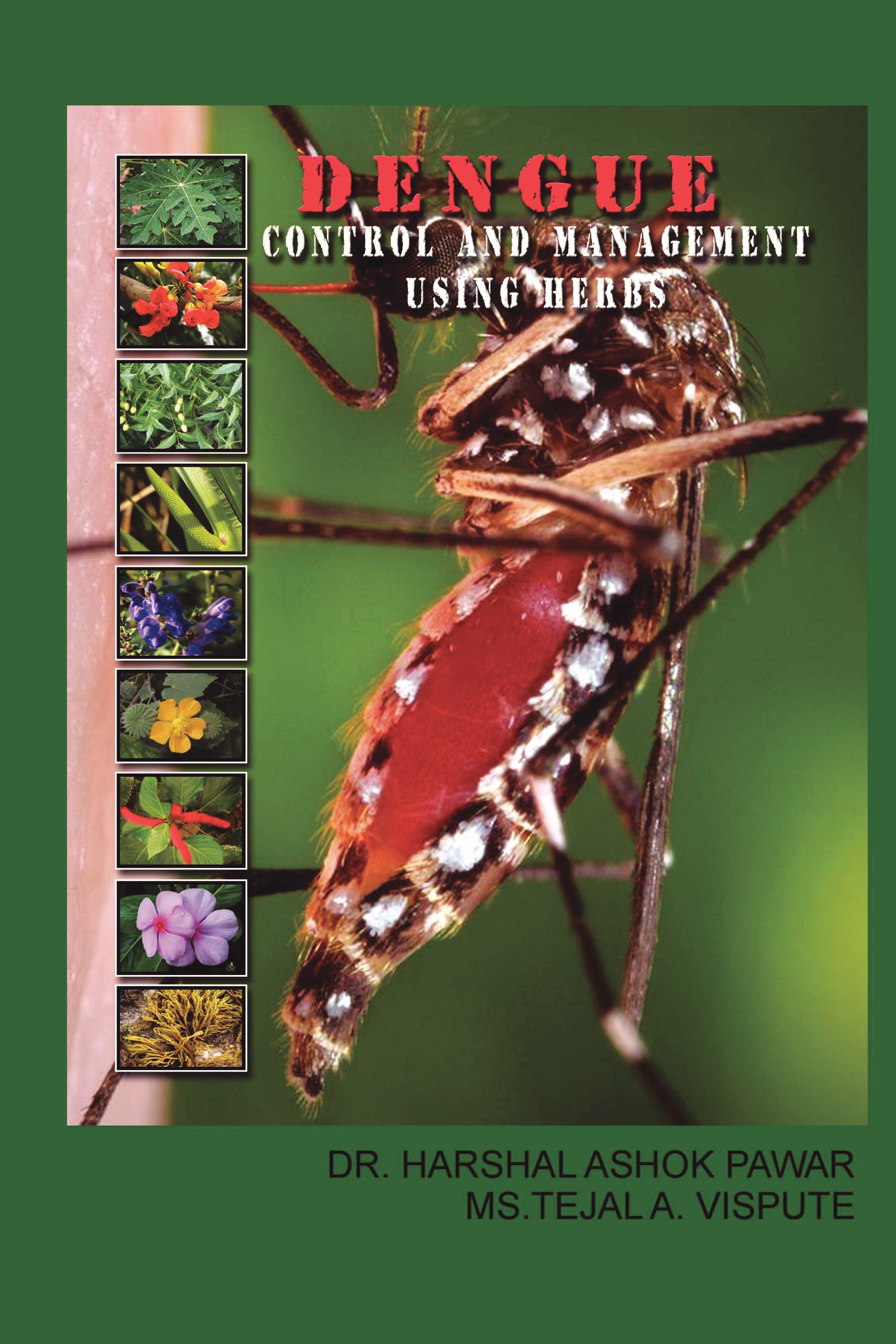 DENGUE : CONTROL AND MANAGEMENT USING HERBS | Pothi.com