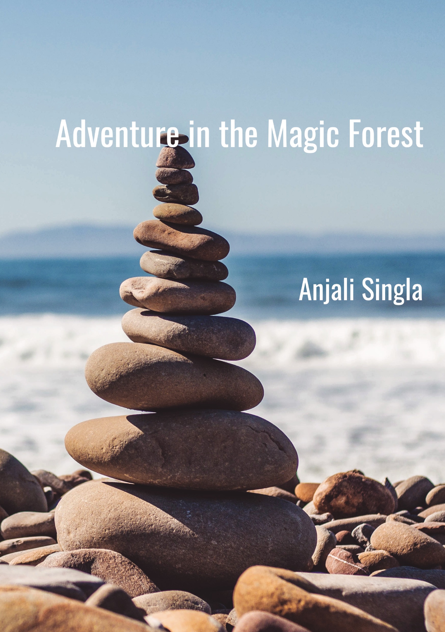 Adventure In The Magic Forest Pothi