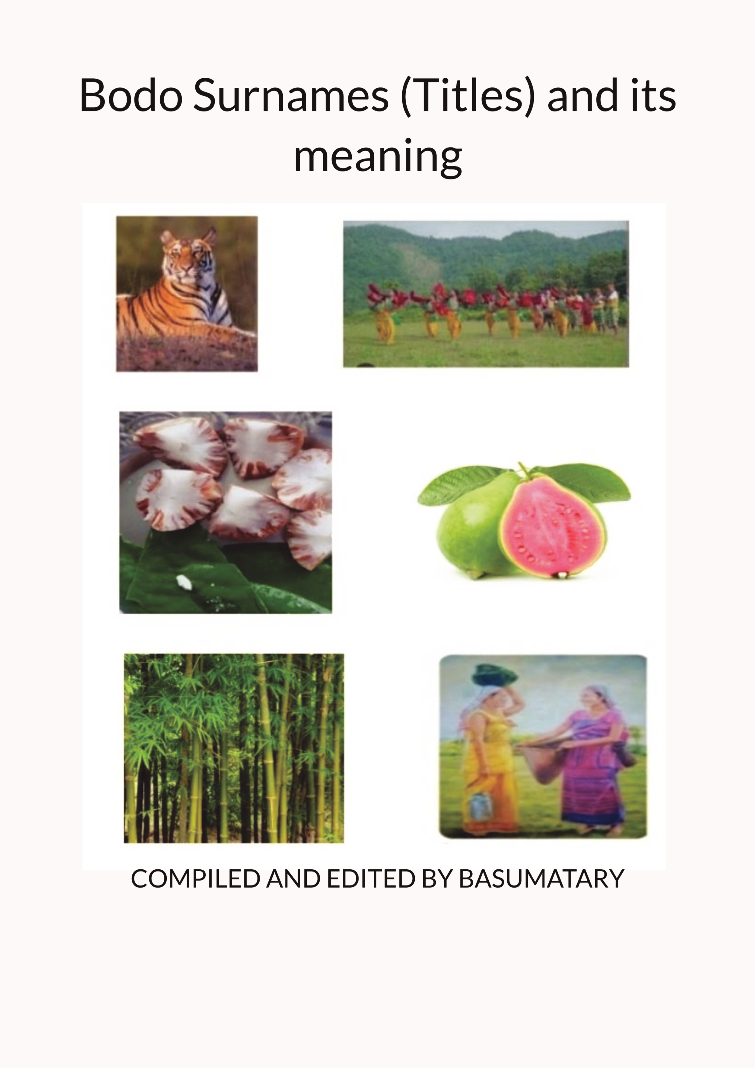 Bodo Surnames (Titles) and its meaning