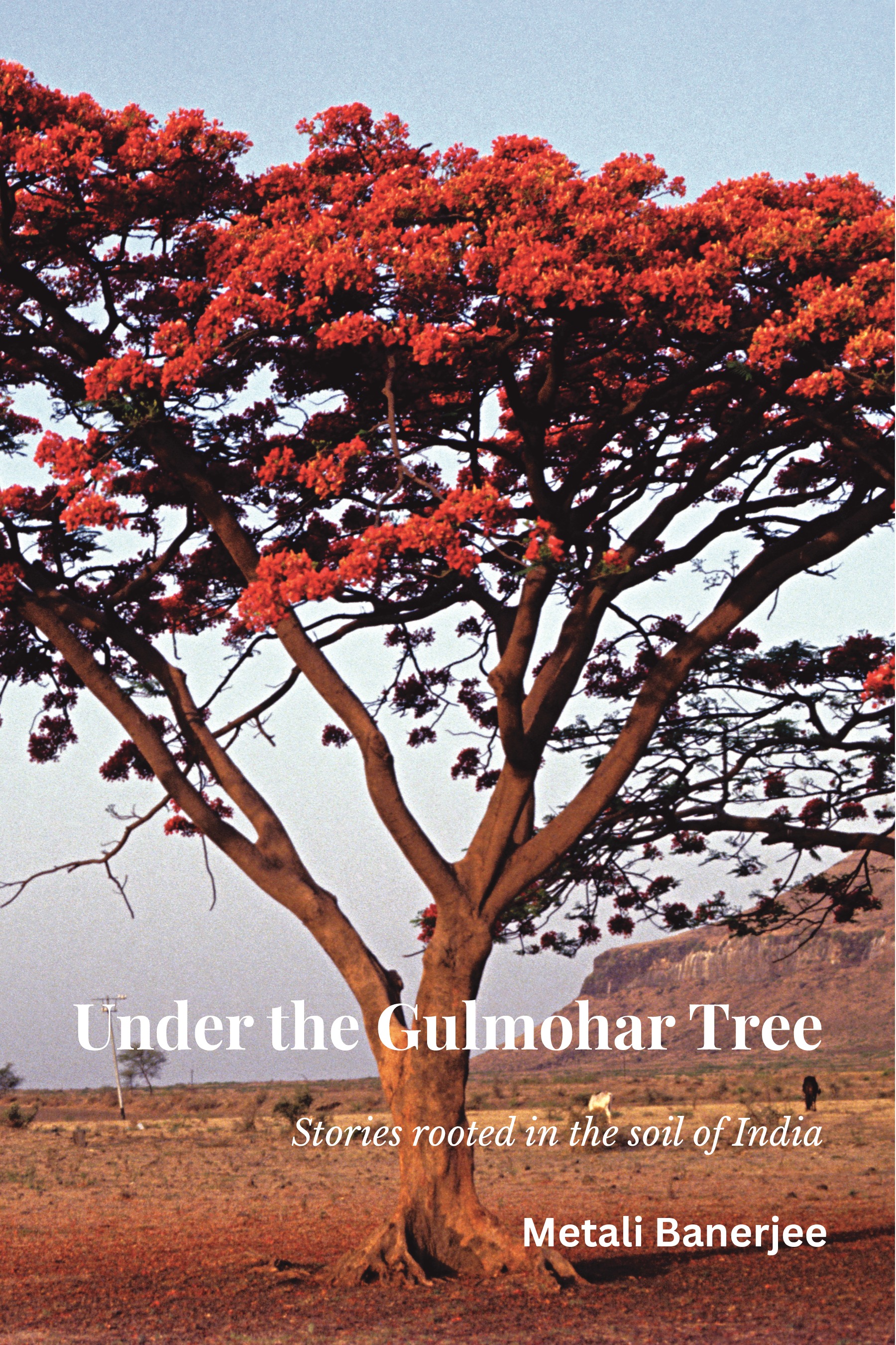 Under the Gulmohar Tree | Pothi.com